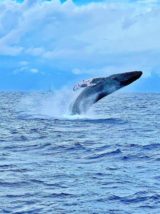 Kulakane 105 Kahana Exteriör bild